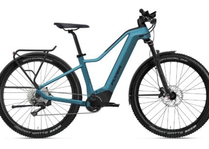 Flyer Goroc2 6.30 - 750 Wh - 2022 - 29 Zoll - Diamant